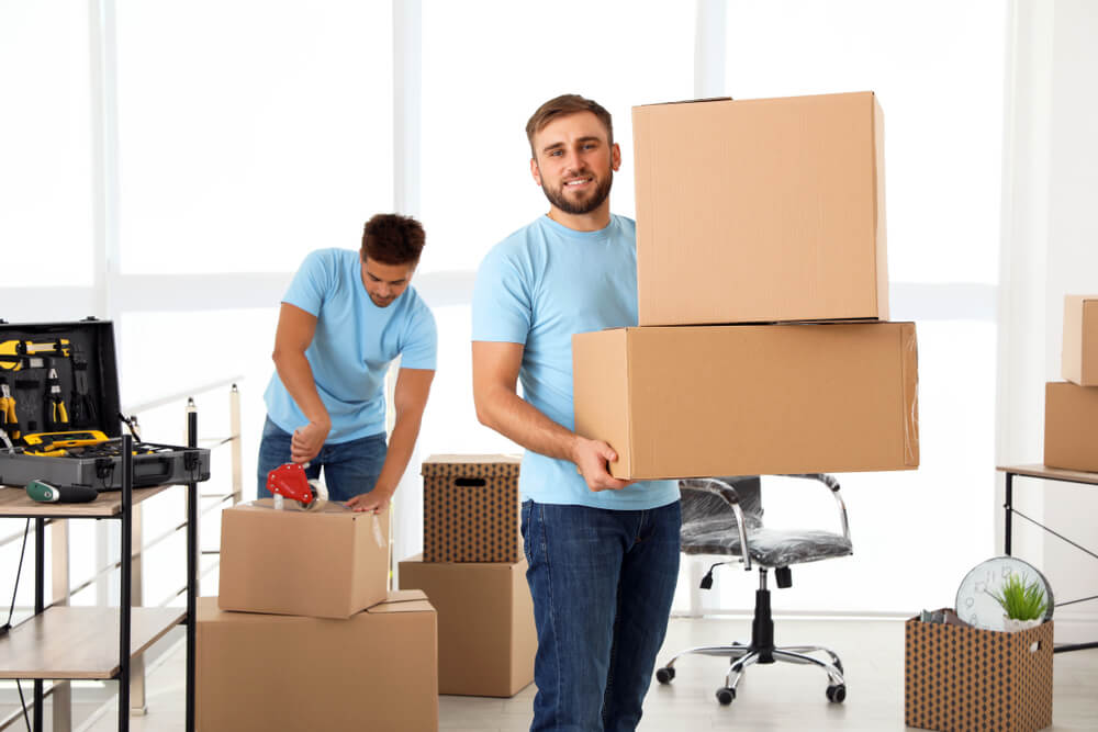 Mover Reviewing Recent Lead Success